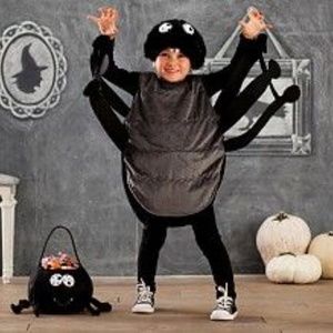 Pottery Barn Kids Spider Costume